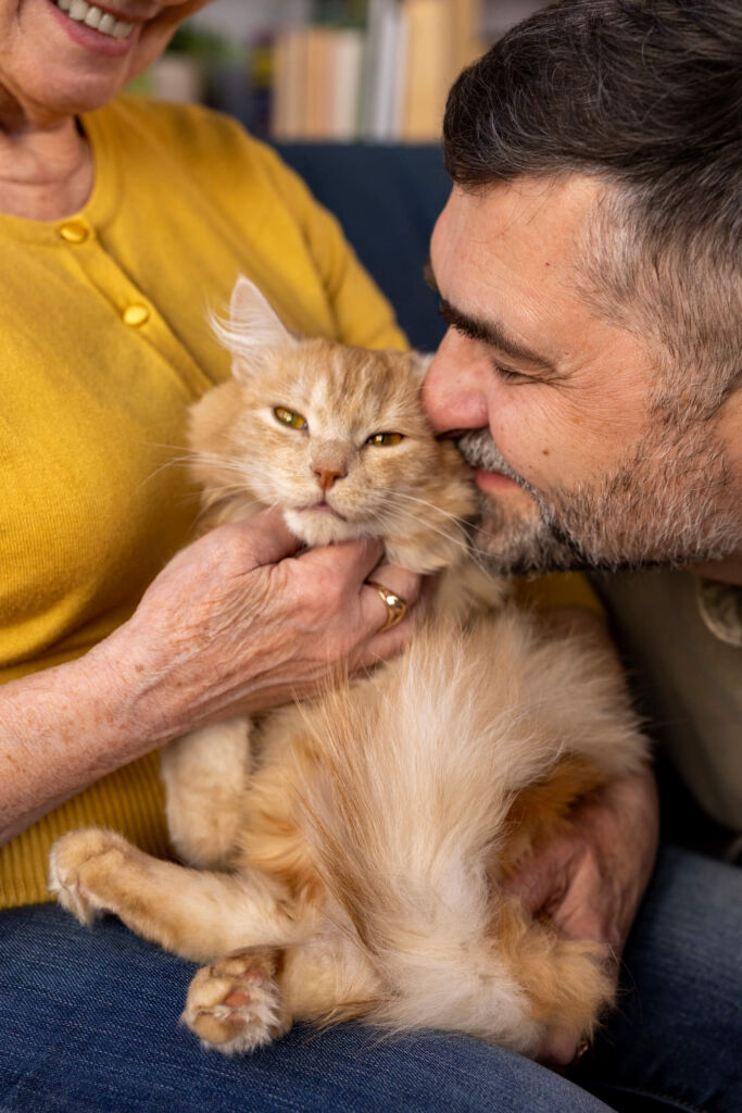 chalet chats refuge saint jean pied port adopter - 20